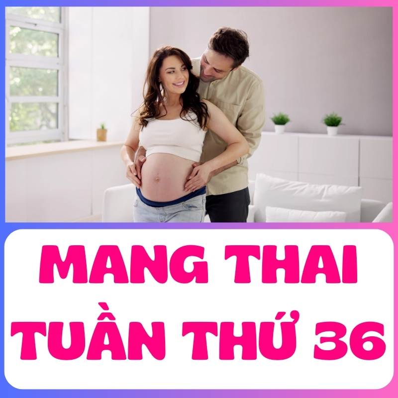 Mẹ bầu và ông bố tương lai tuần thứ 36 hẹn hò lãng mạn